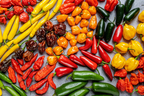 Chili Peppers 101:  How to use them & health facts